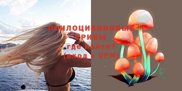 ECSTASY Липки