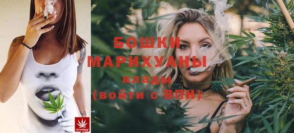 ECSTASY Липки
